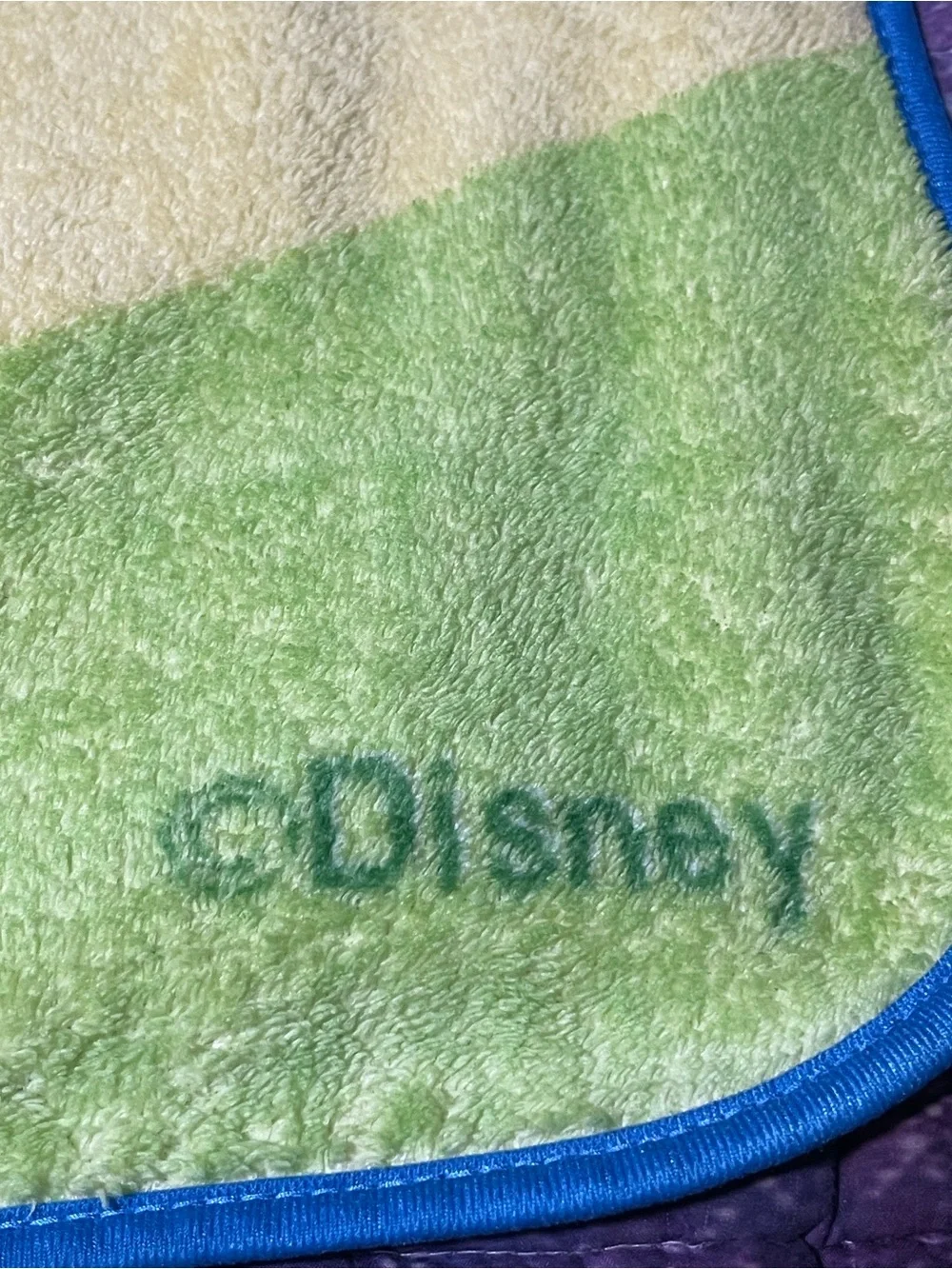 Vintage Disney Princess Fleece Blanket The Northwest Co Y2K